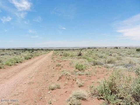 8376 E Juniper Berry Trl, Snowflake, AZ 85937 photo 5