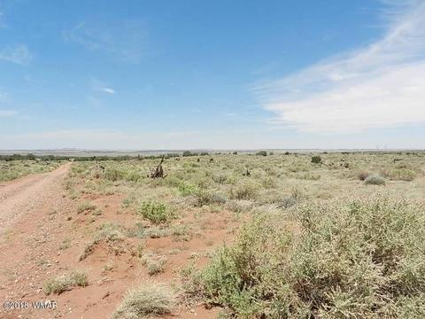 8376 E Juniper Berry Trl, Snowflake, AZ 85937 photo 6