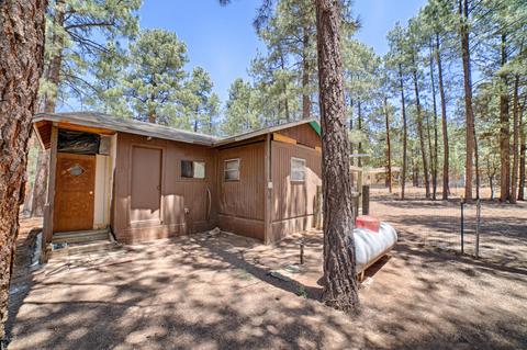 2892 Tracy Rd, Overgaard, AZ 85933 photo 16