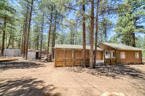2892 Tracy Rd, Overgaard, AZ 85933 photo 15