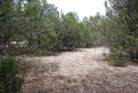 3405 Navajo Dr, Overgaard, AZ 85933 photo 3