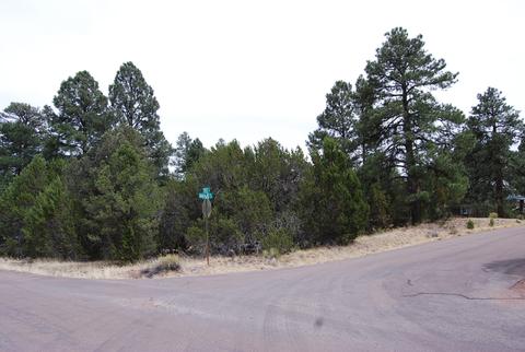 3405 Navajo Dr, Overgaard, AZ 85933 photo 1