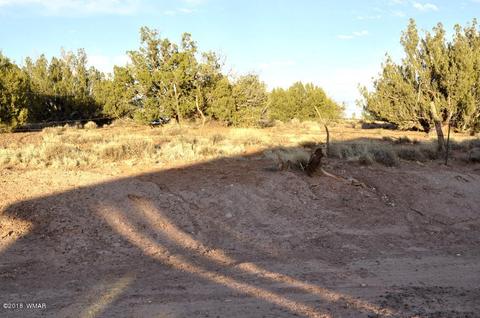 109 Hillcrest Dr, Snowflake, AZ 85937 photo 16