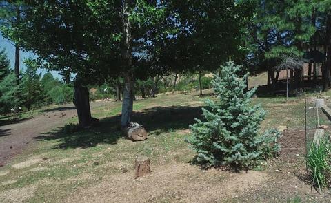 6280 Apache Trl, Show Low, AZ 85901 photo 5