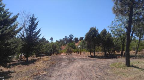 6280 Apache Trl, Show Low, AZ 85901 photo 30