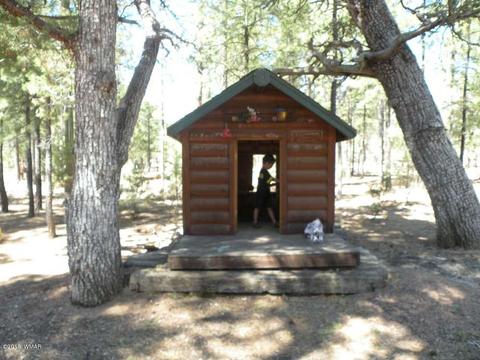 2707 Horseshoe Ct, Overgaard, AZ 85933 photo 19