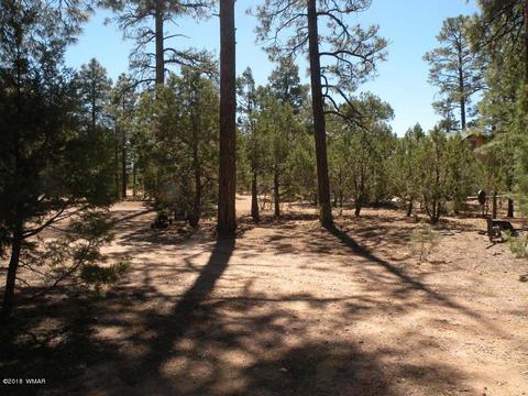 2707 Horseshoe Ct, Overgaard, AZ 85933 photo 21