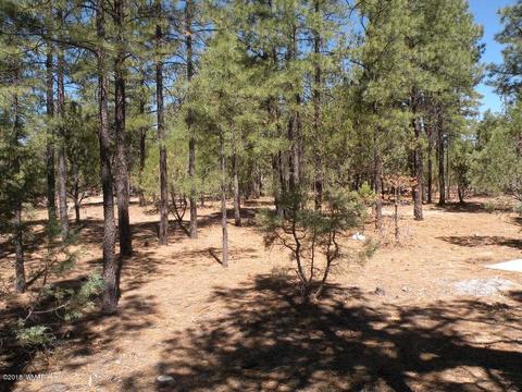 2707 Horseshoe Ct, Overgaard, AZ 85933 photo 16