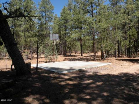 2707 Horseshoe Ct, Overgaard, AZ 85933 photo 17