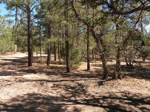2707 Horseshoe Ct, Overgaard, AZ 85933 photo 23