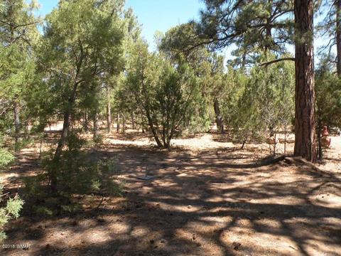 2707 Horseshoe Ct, Overgaard, AZ 85933 photo 22