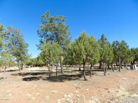 2795 Constellation Ln, Overgaard, AZ 85933 photo 5