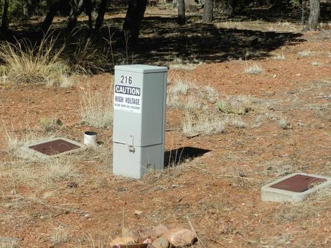 2795 Constellation Ln, Overgaard, AZ 85933 photo 3