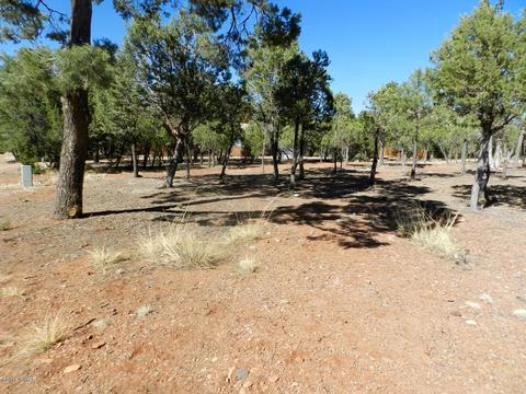2795 Constellation Ln, Overgaard, AZ 85933 photo 6