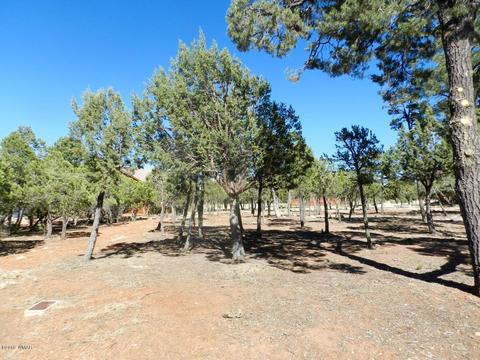 2795 Constellation Ln, Overgaard, AZ 85933 photo 2