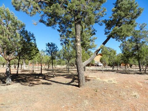 2795 Constellation Ln, Overgaard, AZ 85933 photo 4
