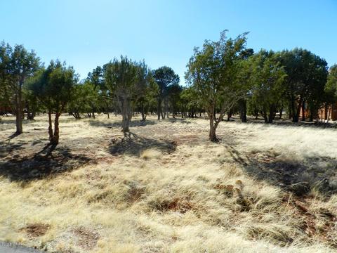 2795 Constellation Ln, Overgaard, AZ 85933 photo 7