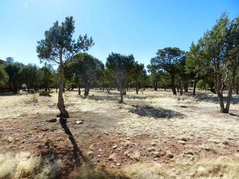 2795 Constellation Ln, Overgaard, AZ 85933 photo 8