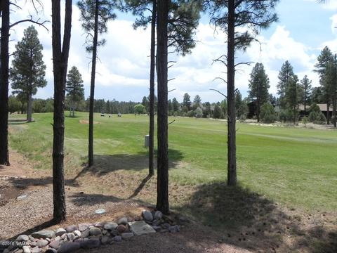 2951 W Villa Loop, Show Low, AZ 85901 photo 20
