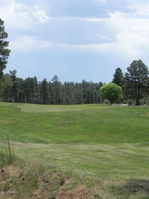 2951 W Villa Loop, Show Low, AZ 85901 photo 19
