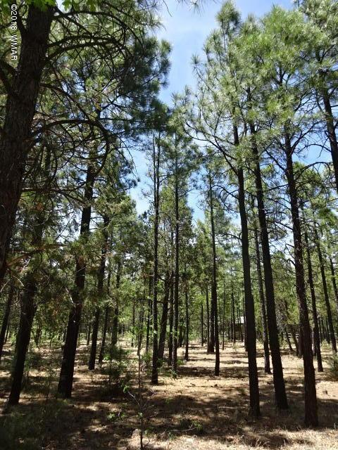 264 Larson Rd, Lakeside, AZ 85929 photo 1