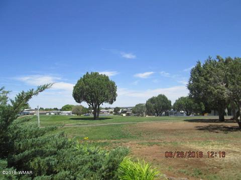 8219 Rainbow Loop, Show Low, AZ 85901 photo 2