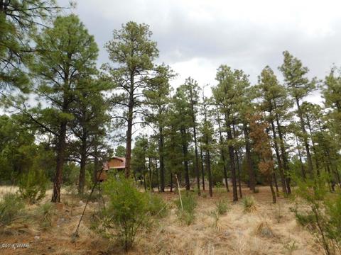 2238 Eagle Ln, Overgaard, AZ 85933 photo 3