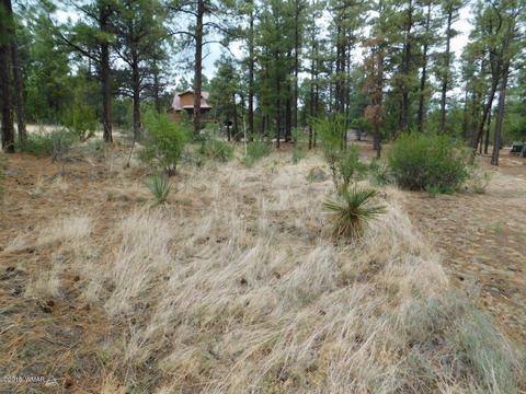 2238 Eagle Ln, Overgaard, AZ 85933 photo 5