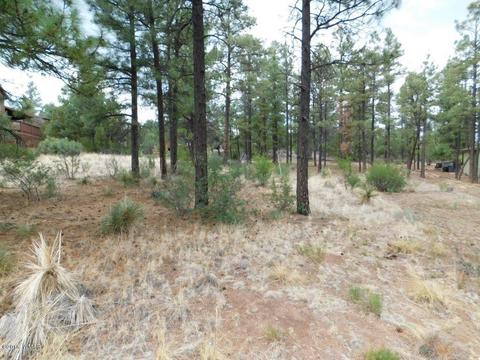 2238 Eagle Ln, Overgaard, AZ 85933 photo 4