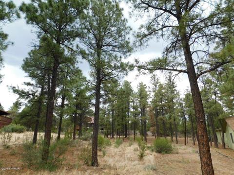 2238 Eagle Ln, Overgaard, AZ 85933 photo 2