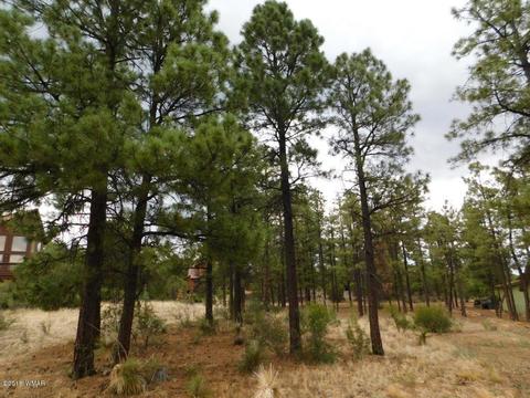 2238 Eagle Ln, Overgaard, AZ 85933 photo 1