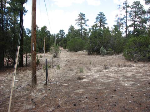 2052 Cherokee Strip, Overgaard, AZ 85933 photo 5