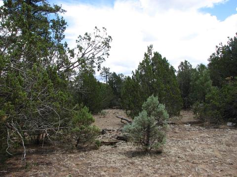 2052 Cherokee Strip, Overgaard, AZ 85933 photo 8