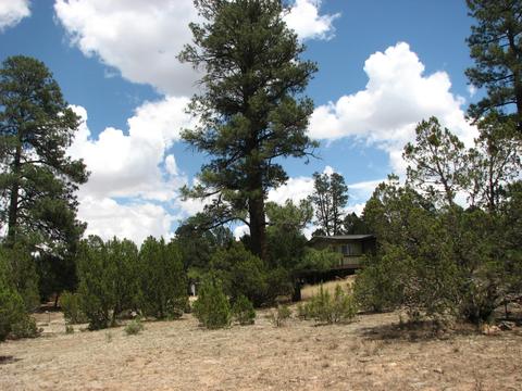 2052 Cherokee Strip, Overgaard, AZ 85933 photo 7