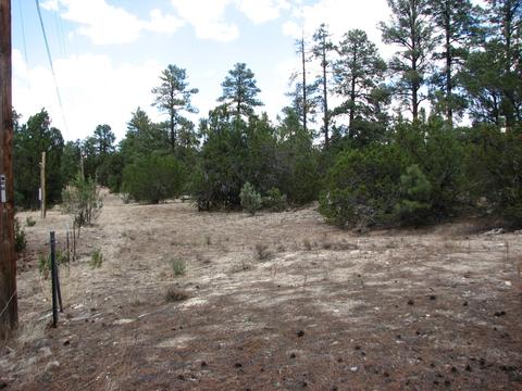 2052 Cherokee Strip, Overgaard, AZ 85933 photo 4