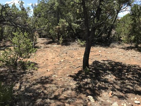 1572 Echo Cir, Heber, AZ 85928 photo 9