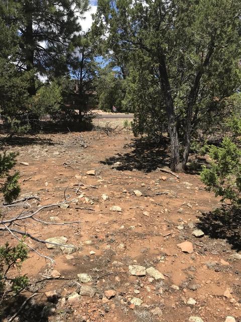 1572 Echo Cir, Heber, AZ 85928 photo 6