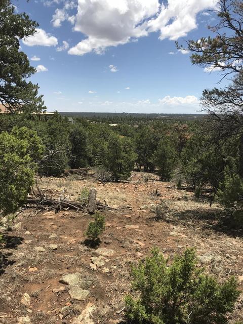 1572 Echo Cir, Heber, AZ 85928 photo 2