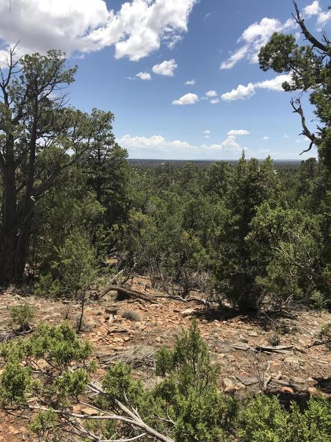 1572 Echo Cir, Heber, AZ 85928 photo 3