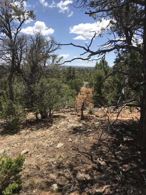 1572 Echo Cir, Heber, AZ 85928 photo 5