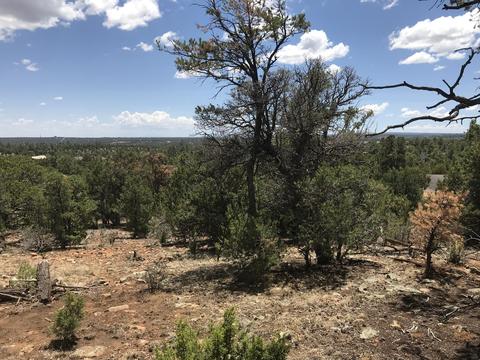 1572 Echo Cir, Heber, AZ 85928 photo 1