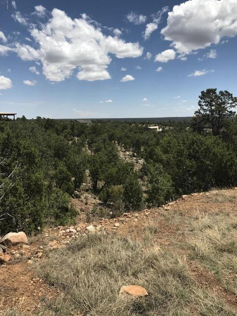 1572 Echo Cir, Heber, AZ 85928 photo 8