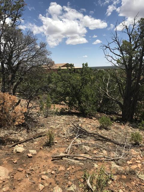 1572 Echo Cir, Heber, AZ 85928 photo 4