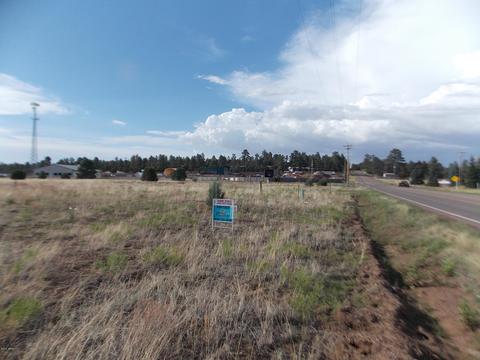 2770 Mogollon Dr, Overgaard, AZ 85933 photo 8