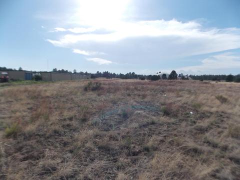 2770 Mogollon Dr, Overgaard, AZ 85933 photo 1