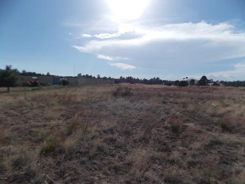 2770 Mogollon Dr, Overgaard, AZ 85933 photo 4