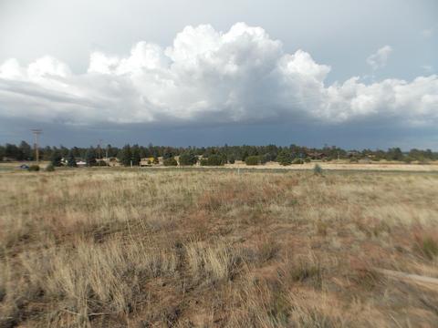 2770 Mogollon Dr, Overgaard, AZ 85933 photo 6