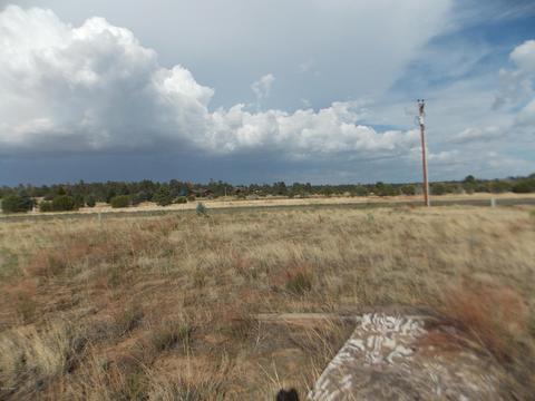 2770 Mogollon Dr, Overgaard, AZ 85933 photo 5