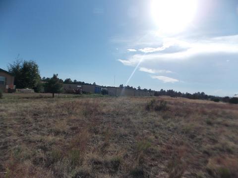 2770 Mogollon Dr, Overgaard, AZ 85933 photo 7