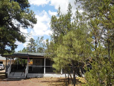3012 Pinewood Dr, Overgaard, AZ 85933 photo 10